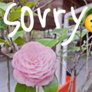 ヒメ日記 2025/07/29 13:08 投稿 よつば 京都ホテヘル倶楽部