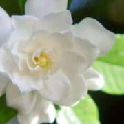 ヒメ日記 2025/06/07 07:15 投稿 三原 さゆり ベストマダム