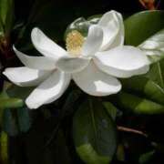 ヒメ日記 2025/06/08 08:15 投稿 三原 さゆり ベストマダム