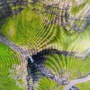 ヒメ日記 2025/06/09 09:30 投稿 三原 さゆり ベストマダム