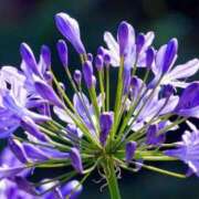 ヒメ日記 2025/06/11 07:15 投稿 三原 さゆり ベストマダム