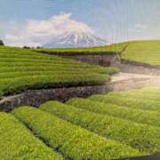 ヒメ日記 2025/06/12 09:15 投稿 三原 さゆり ベストマダム