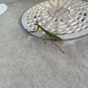 ヒメ日記 2025/06/13 16:06 投稿 三原 さゆり ベストマダム