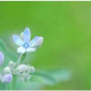 ヒメ日記 2025/06/14 07:15 投稿 三原 さゆり ベストマダム