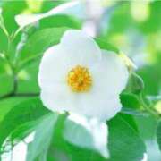 ヒメ日記 2025/06/16 07:15 投稿 三原 さゆり ベストマダム