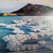 ヒメ日記 2025/06/17 10:15 投稿 三原 さゆり ベストマダム