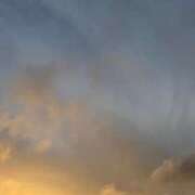 ヒメ日記 2025/06/19 08:15 投稿 三原 さゆり ベストマダム