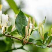 ヒメ日記 2025/06/22 07:15 投稿 三原 さゆり ベストマダム