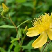 ヒメ日記 2025/06/26 07:15 投稿 三原 さゆり ベストマダム