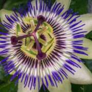 ヒメ日記 2025/06/27 07:15 投稿 三原 さゆり ベストマダム