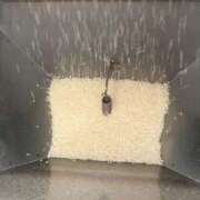 ヒメ日記 2025/06/29 17:15 投稿 三原 さゆり ベストマダム