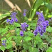 ヒメ日記 2025/07/03 07:15 投稿 三原 さゆり ベストマダム