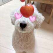 ヒメ日記 2025/07/04 06:45 投稿 三原 さゆり ベストマダム