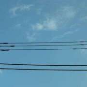 ヒメ日記 2025/07/07 17:59 投稿 三原 さゆり ベストマダム