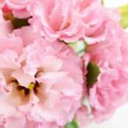 ヒメ日記 2025/07/10 07:15 投稿 三原 さゆり ベストマダム