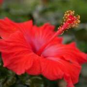 ヒメ日記 2025/07/11 07:15 投稿 三原 さゆり ベストマダム