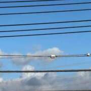 ヒメ日記 2025/07/13 17:39 投稿 三原 さゆり ベストマダム