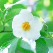 ヒメ日記 2025/07/15 07:15 投稿 三原 さゆり ベストマダム