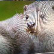 ヒメ日記 2025/07/16 09:15 投稿 三原 さゆり ベストマダム