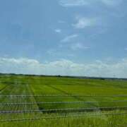 ヒメ日記 2025/07/17 15:15 投稿 三原 さゆり ベストマダム