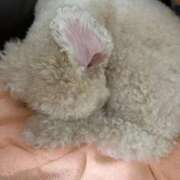 ヒメ日記 2025/07/22 21:30 投稿 三原 さゆり ベストマダム