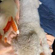 ヒメ日記 2025/07/26 06:00 投稿 三原 さゆり ベストマダム