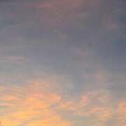 ヒメ日記 2025/07/28 15:15 投稿 三原 さゆり ベストマダム