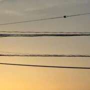 ヒメ日記 2025/07/29 15:15 投稿 三原 さゆり ベストマダム