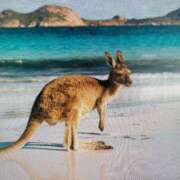 ヒメ日記 2025/07/30 07:45 投稿 三原 さゆり ベストマダム