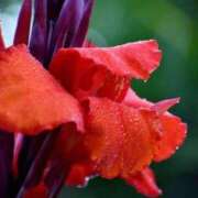 ヒメ日記 2025/08/02 07:15 投稿 三原 さゆり ベストマダム