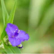 ヒメ日記 2025/08/05 07:15 投稿 三原 さゆり ベストマダム