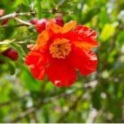 ヒメ日記 2025/08/07 07:15 投稿 三原 さゆり ベストマダム