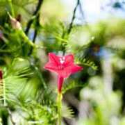 ヒメ日記 2025/08/10 07:15 投稿 三原 さゆり ベストマダム