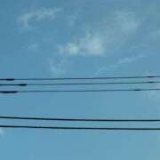 ヒメ日記 2025/08/11 10:19 投稿 三原 さゆり ベストマダム