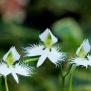 ヒメ日記 2025/08/13 07:15 投稿 三原 さゆり ベストマダム