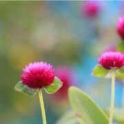 ヒメ日記 2025/08/14 07:15 投稿 三原 さゆり ベストマダム