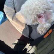 ヒメ日記 2025/08/15 11:22 投稿 三原 さゆり ベストマダム