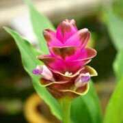 ヒメ日記 2025/08/22 07:15 投稿 三原 さゆり ベストマダム