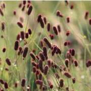 ヒメ日記 2025/08/25 07:15 投稿 三原 さゆり ベストマダム