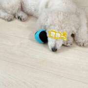 ヒメ日記 2025/08/26 07:00 投稿 三原 さゆり ベストマダム