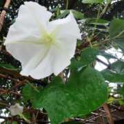 ヒメ日記 2025/08/27 07:15 投稿 三原 さゆり ベストマダム