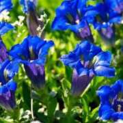 ヒメ日記 2025/08/31 07:15 投稿 三原 さゆり ベストマダム