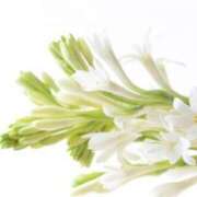 ヒメ日記 2025/09/02 07:15 投稿 三原 さゆり ベストマダム