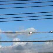 ヒメ日記 2025/09/03 15:15 投稿 三原 さゆり ベストマダム