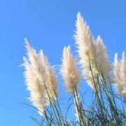 ヒメ日記 2025/09/06 07:15 投稿 三原 さゆり ベストマダム