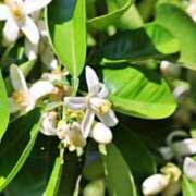 ヒメ日記 2025/09/07 07:15 投稿 三原 さゆり ベストマダム