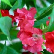 ヒメ日記 2025/09/08 07:15 投稿 三原 さゆり ベストマダム