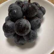 ヒメ日記 2025/09/09 20:45 投稿 三原 さゆり ベストマダム