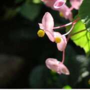 ヒメ日記 2025/09/10 07:15 投稿 三原 さゆり ベストマダム