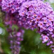 ヒメ日記 2025/09/13 07:15 投稿 三原 さゆり ベストマダム